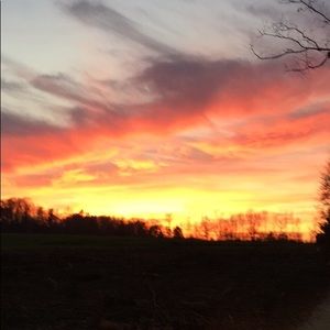 Meet your Posher, Wendy